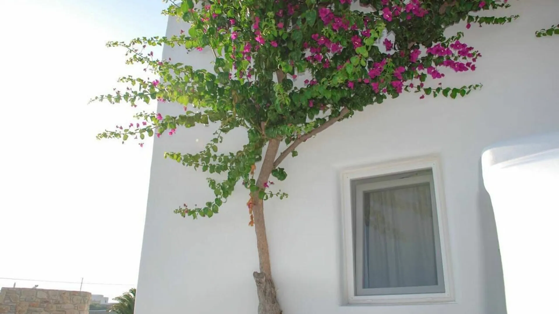 アパート Aletro Cottage Houses Mykonos Town