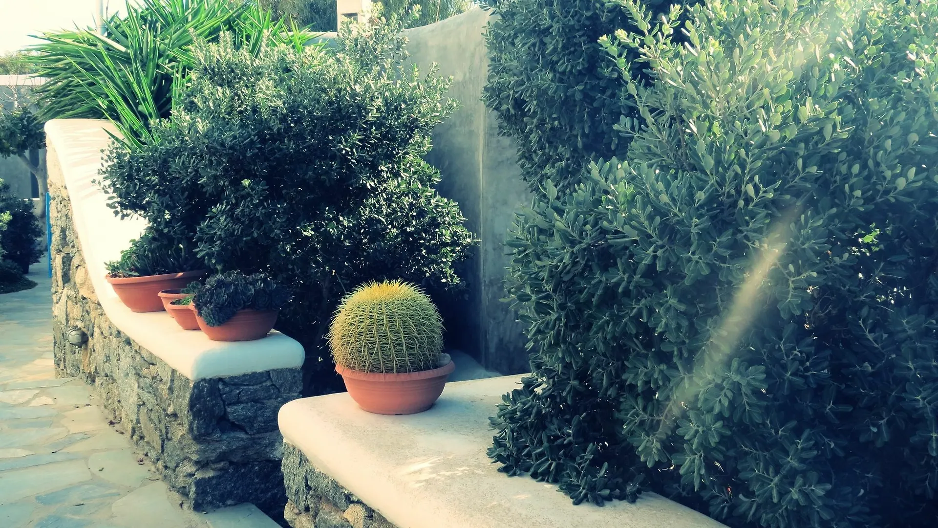 Apartment Aletro Cottage Houses Mykonos Town Greece